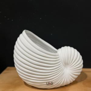 Vaso conchiglia