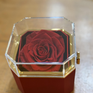 Cofanetto rosso