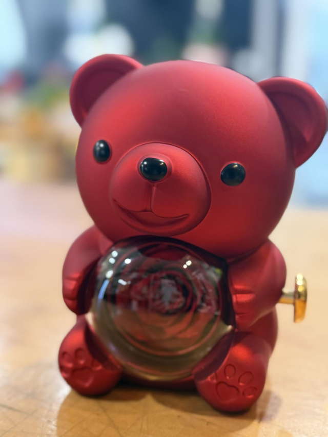 Orso rosso