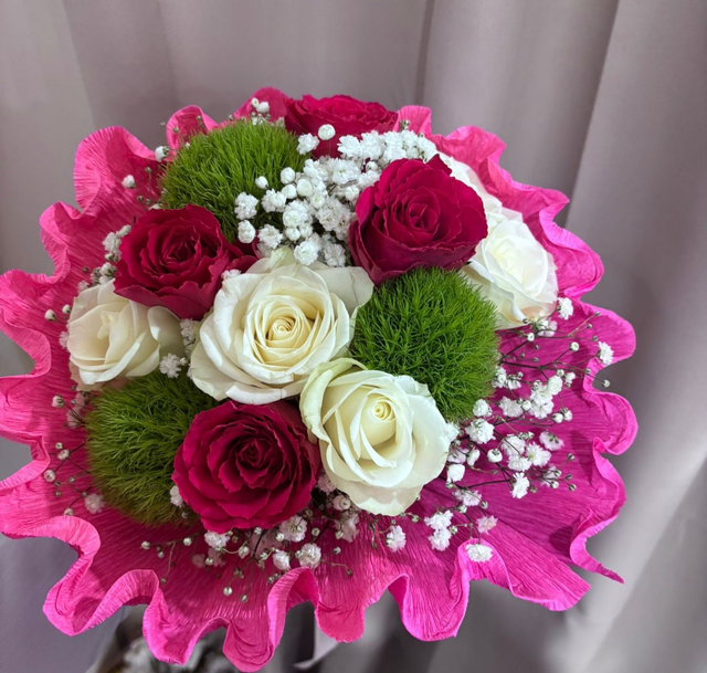 Fuxia bloom