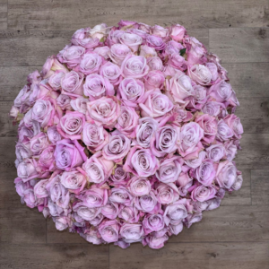 Sogno in rosa