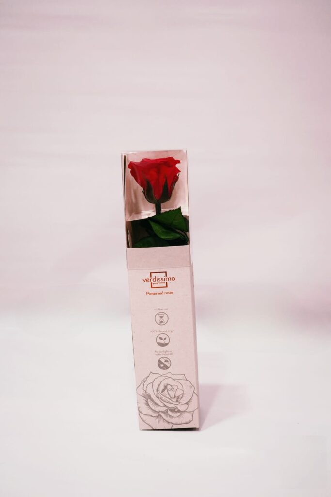 Rosa intera stabilizzata