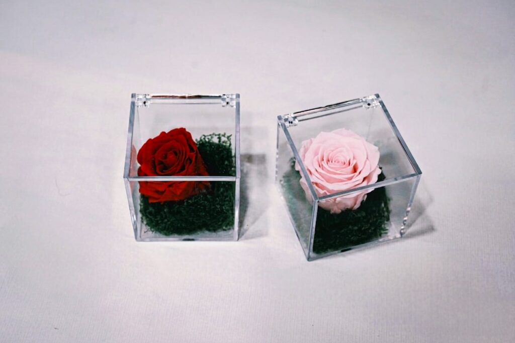 rosa stabilizzata