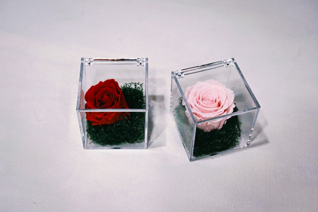rosa stabilizzata