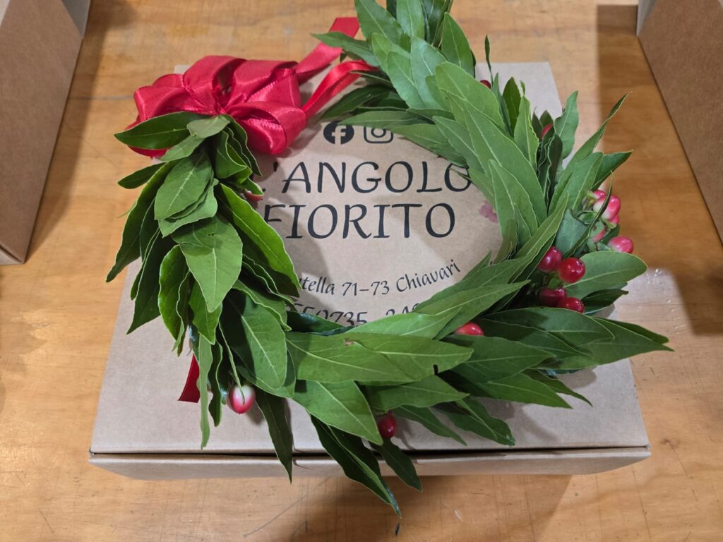 Coroncina per laurea